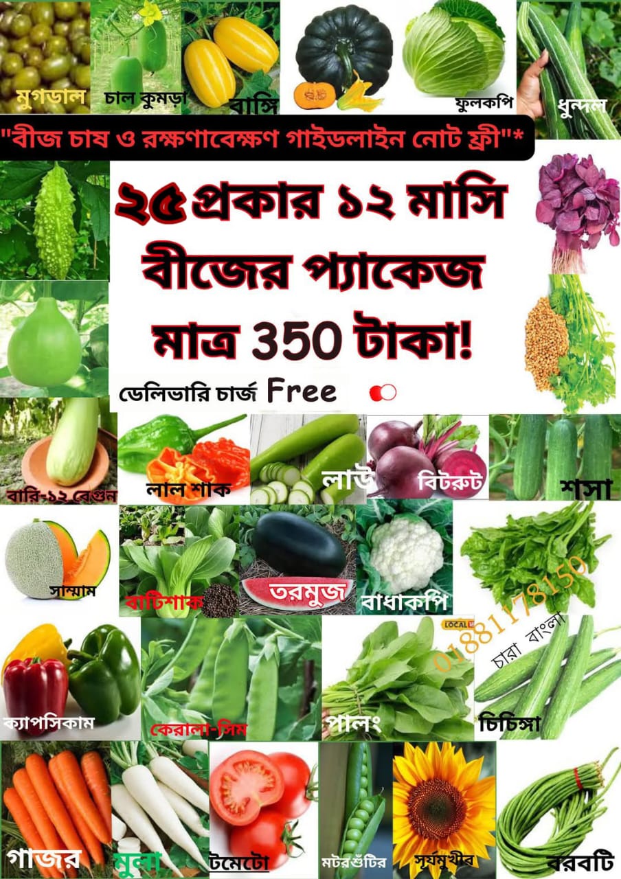 ২৫ প্রকার বারোমাসি হাইব্রিড বীজের প্যাকেজ